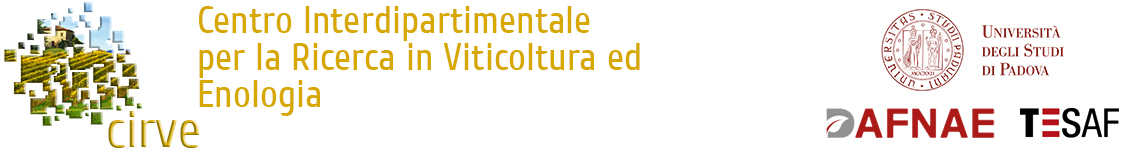 Cirve Sito per prove varie